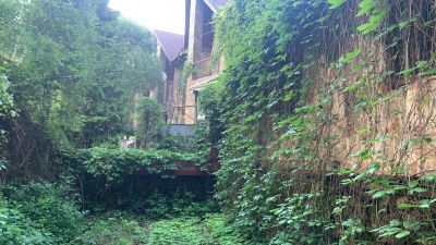 photo 63bdc166af350_thumb.jpg