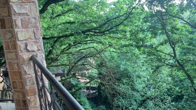 photo 63bdc1676bde7_thumb.jpg