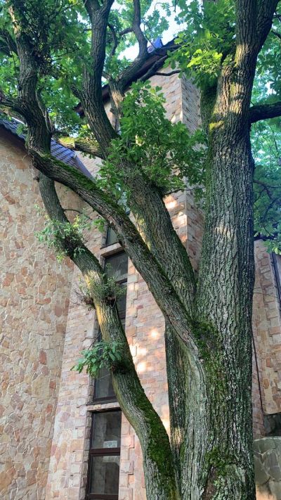 photo 63bdc16813c3d_thumb.jpg