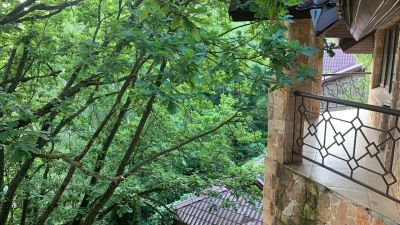 photo 63bdc1691d48a_thumb.jpg