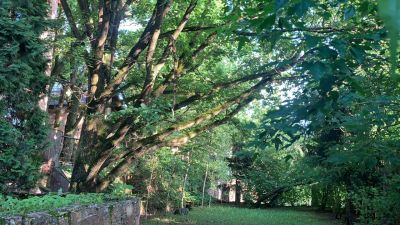 photo 63bdc16a904f4_thumb.jpg