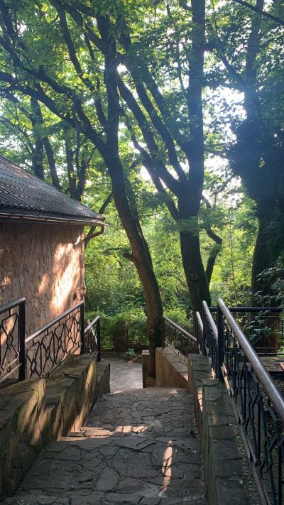 photo 63bdc16cdd50b_thumb.jpg