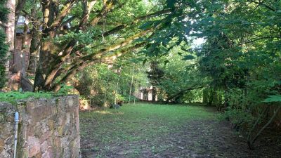 photo 63bdc16e8002a_thumb.jpg