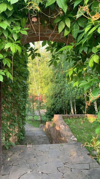 photo 63bdc170cf35c_thumb.jpg