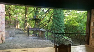 photo 63bdc17152b80_thumb.jpg