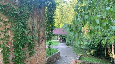 photo 63bdc173d8573_thumb.jpg