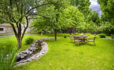 photo 63bdc22dd7b8c_thumb.jpg