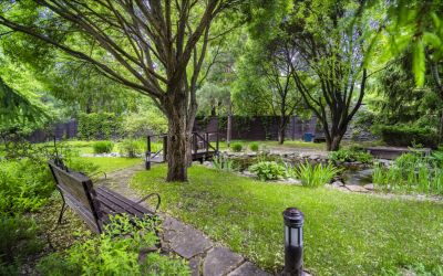 photo 63bdc22e5f8e1_thumb.jpg