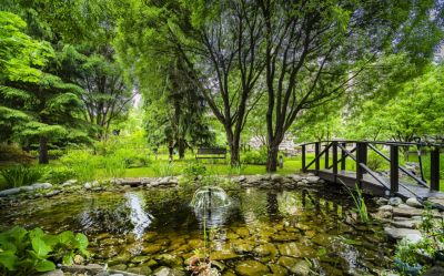 photo 63bdc22edb0ec_thumb.jpg