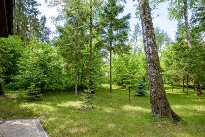 photo 63bdc389b7f8d_thumb.jpg