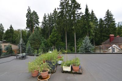 photo 63bdc5074ff8b_thumb.jpg