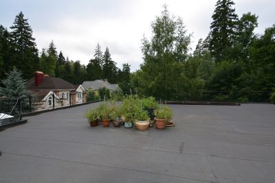 photo 63bdc50d261b0_thumb.jpg