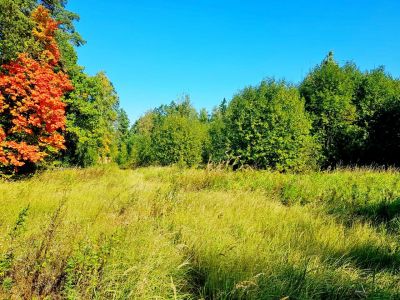 photo 63bdc619784eb_thumb.jpg