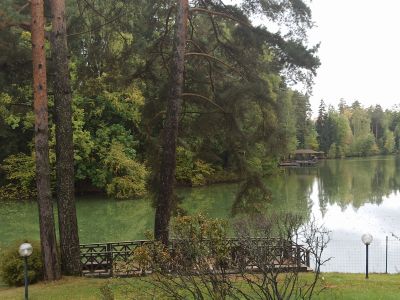 photo 63bdc61b70854_thumb.jpg