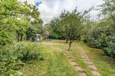 photo 63bdc635c0af4_thumb.jpg