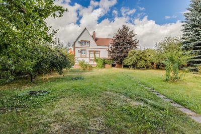 photo 63bdc66158db7_thumb.jpg