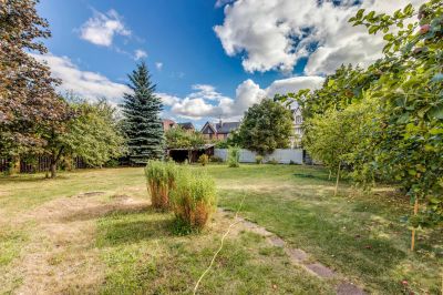 photo 63bdc662e9922_thumb.jpg