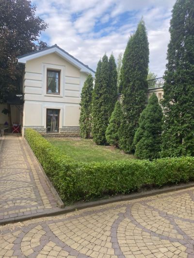 photo 63bdc87fa9d09_thumb.jpg