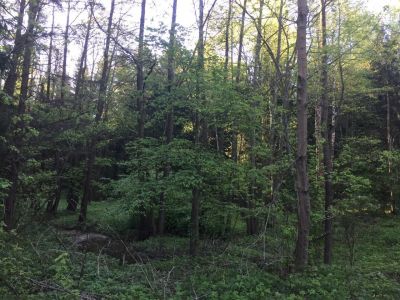 photo 63bdc9f390201_thumb.jpg