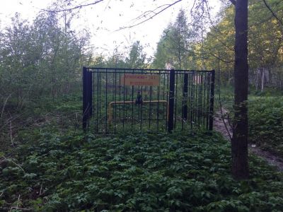 photo 63bdc9f4f1d12_thumb.jpg