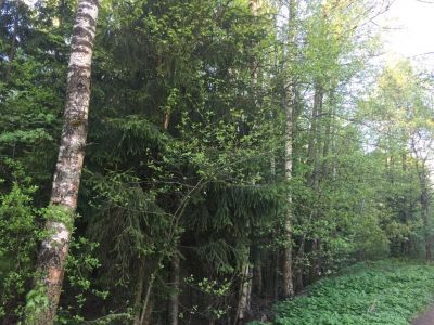 photo 63bdc9f5a8b09_thumb.jpg