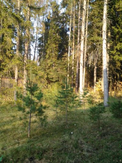 photo 657083bff24d8_thumb.jpg