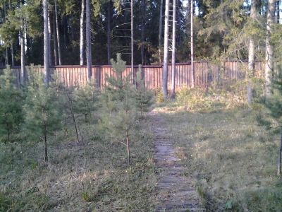 photo 657083c1238c7_thumb.jpg