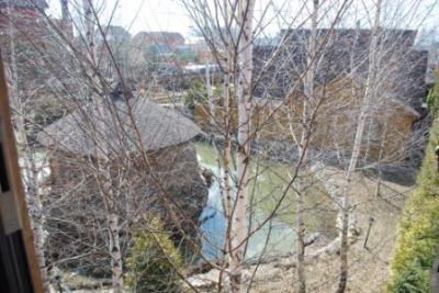 photo 6708e13403b22_thumb.jpg