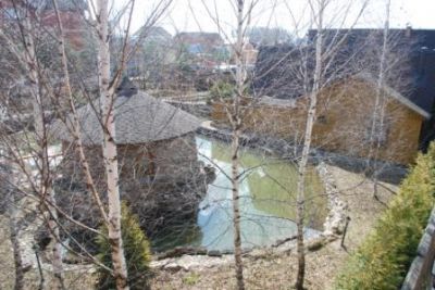 photo 6708e1344fbee_thumb.jpg