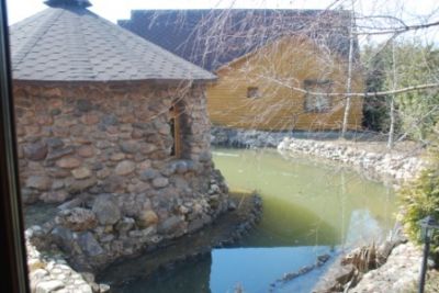 photo 6708e136783e0_thumb.jpg