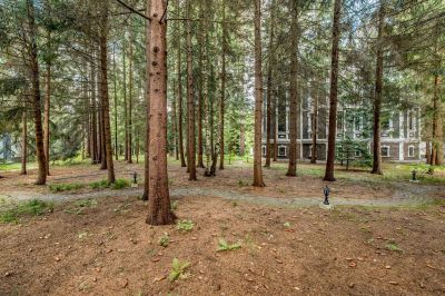 photo 63bdcd094b370_thumb.jpg