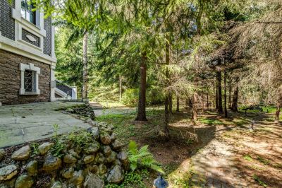 photo 63bdcd0ae6508_thumb.jpg