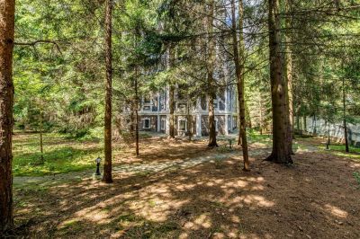 photo 63bdcd0e1ed90_thumb.jpg