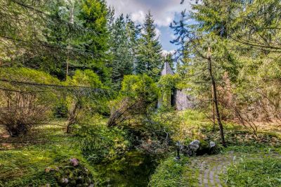 photo 63bdcd12e0fe5_thumb.jpg