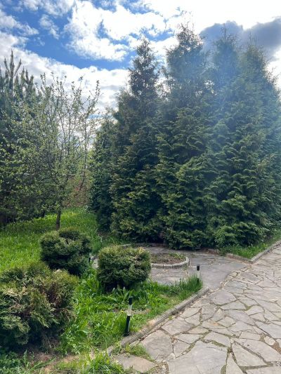 photo 694287a6cd9eb_thumb.jpg