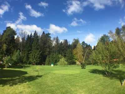 photo 63bdcfa0ace32_thumb.jpg