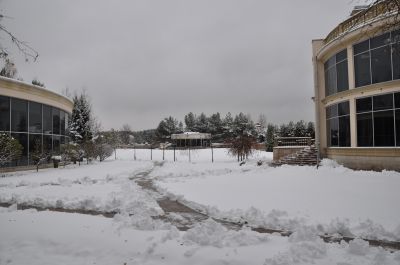 photo 63bdcffe373c9_thumb.jpg