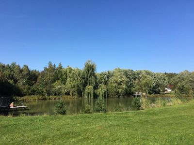 photo 63bdd046f19bf_thumb.jpg