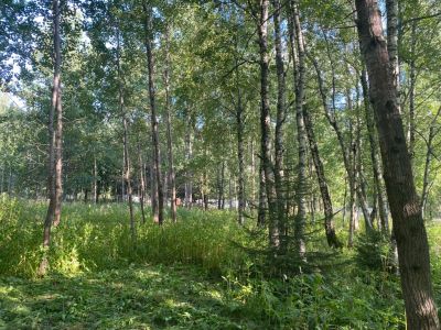 photo 63bdd211a67e7_thumb.jpg