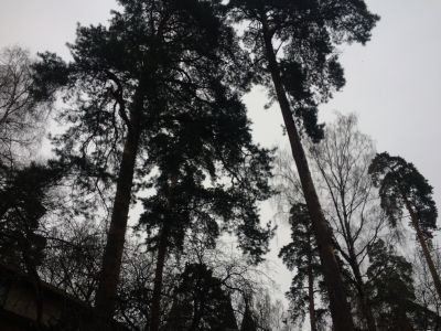 photo 63bdd2530e156_thumb.jpg