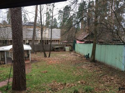 photo 63bdd25fac99a_thumb.jpg