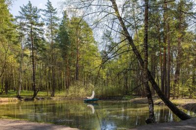 photo 66ab8a6fde1b0_thumb.jpg