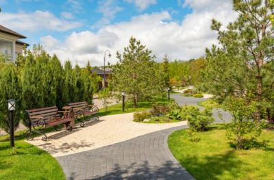 photo 63bdd7f22db8b_thumb.jpg