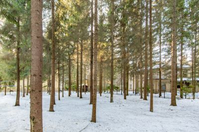 photo 63bdd929c6917_thumb.jpg