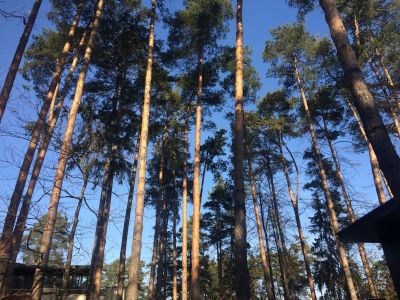 photo 63bddc9db271d_thumb.jpg