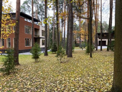 photo 653ba40d7de88_thumb.jpg