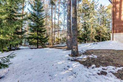 photo 63bddca8f3f93_thumb.jpg