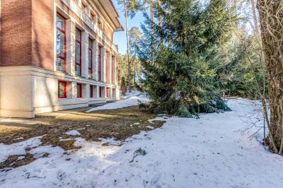 photo 63bddcb6dca1e_thumb.jpg