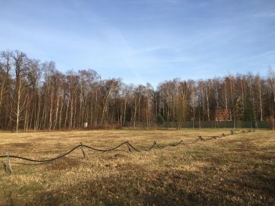 photo 63bddd15e2c34_thumb.jpg