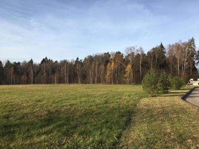 photo 63bddd16f1994_thumb.jpg